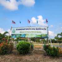 ป่าเสม็ดพันปี, ระยอง