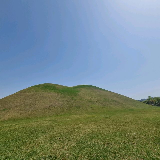 포토존이 예쁜  경주 대릉원