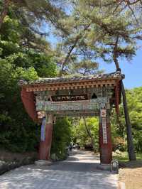 산책하러 가기 좋은 서울 근교 용문사⛰️💚
