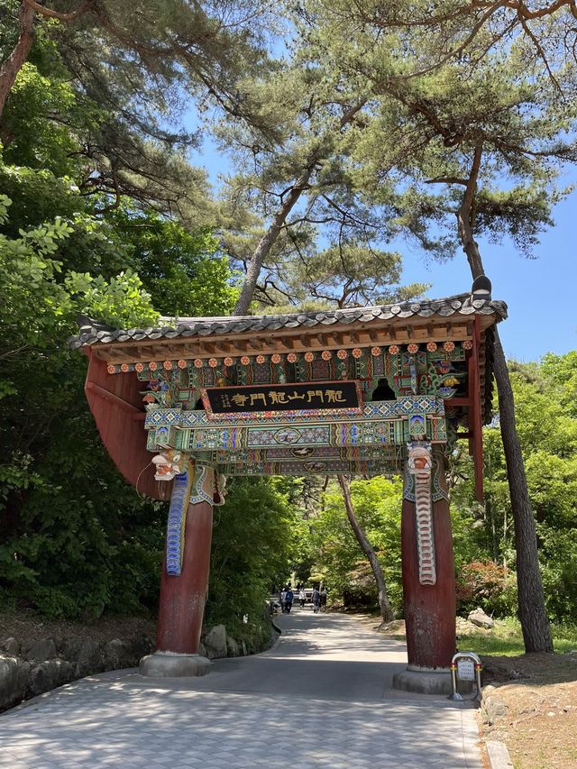 산책하러 가기 좋은 서울 근교 용문사⛰️💚