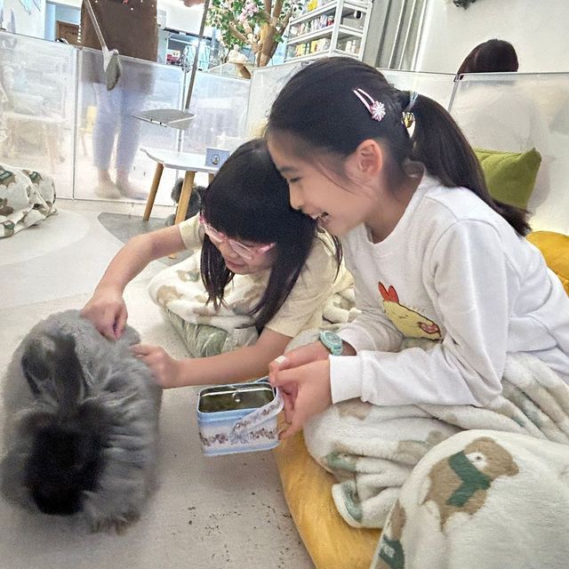 萌爆• 小兔🐰Cafe *動物控必去 萌爆• 小兔🐰Cafe *動物控必去