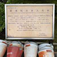 宮城松島「円通院」日本庭園が美しい