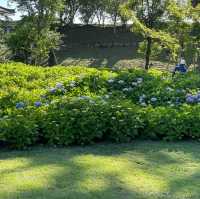 nijo castle garden 