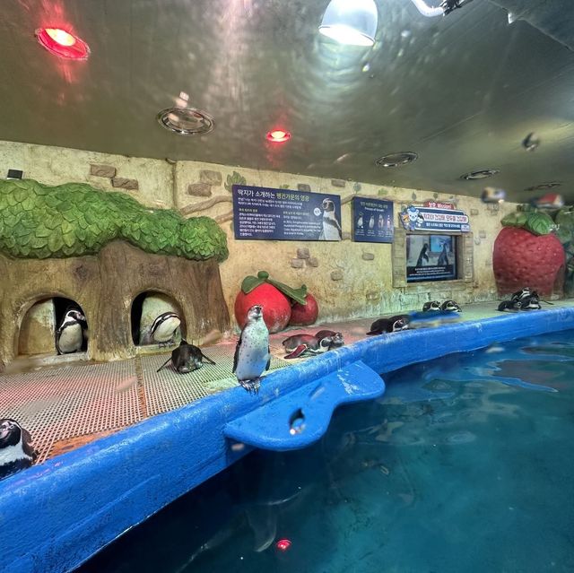 帶小朋友一起探索大海的奧秘 🐠🦑🌊
