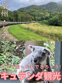 【世界の車窓から】キュランダ鉄道やコアラお触りで自然満喫🐨🌿