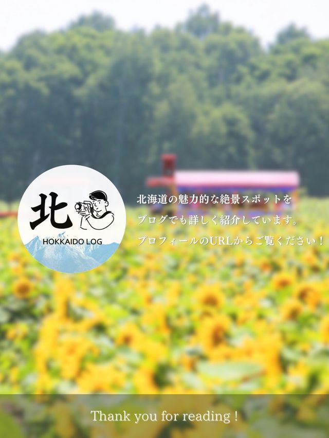 【北竜/ひまわりの里】北海道の絶景ログVol.5