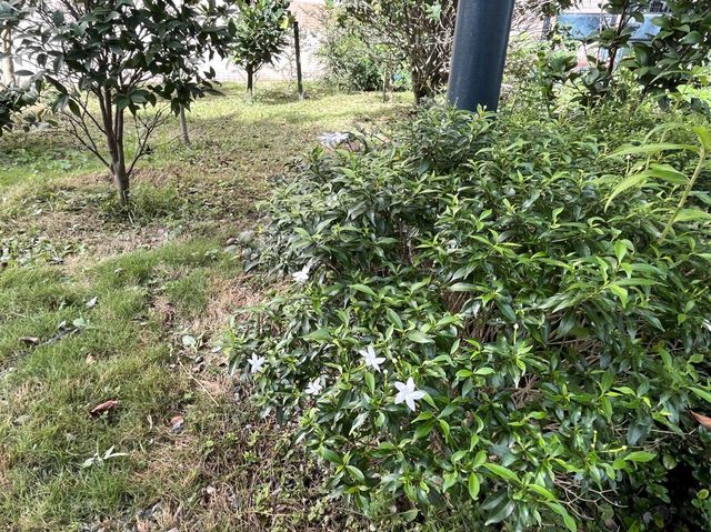 多項球類活動場地 @ 石鼓壟道遊樂場