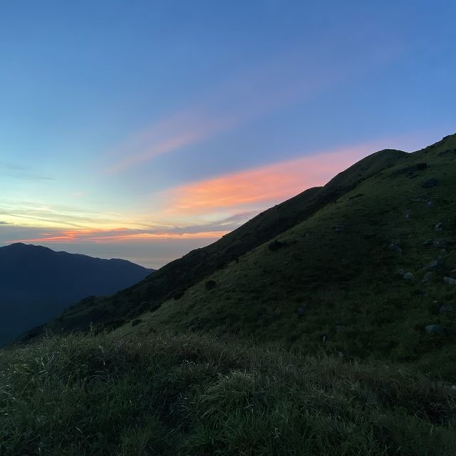 香港🇭🇰｜ 南山登大東山爛頭營 越過芒草山丘🌾 - 鳳凰徑2段 