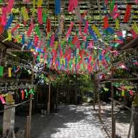 ~福岡 如意輪寺 かえる寺~夏の風物詩🎐