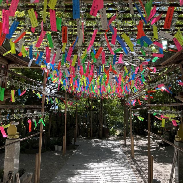 ~福岡 如意輪寺 かえる寺~夏の風物詩🎐
