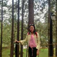 Dahilayan Adventure Park
