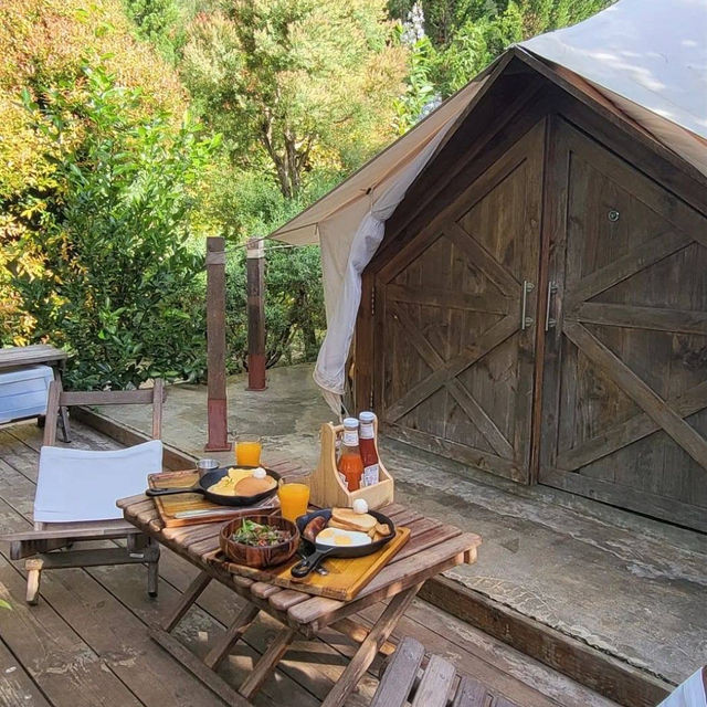 พักผ่อนท่ามกลางธรรมชาติที่ The birder's lodge 