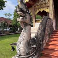 เที่ยวเชียงใหม่