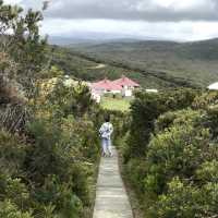 Over Century Lighthouse