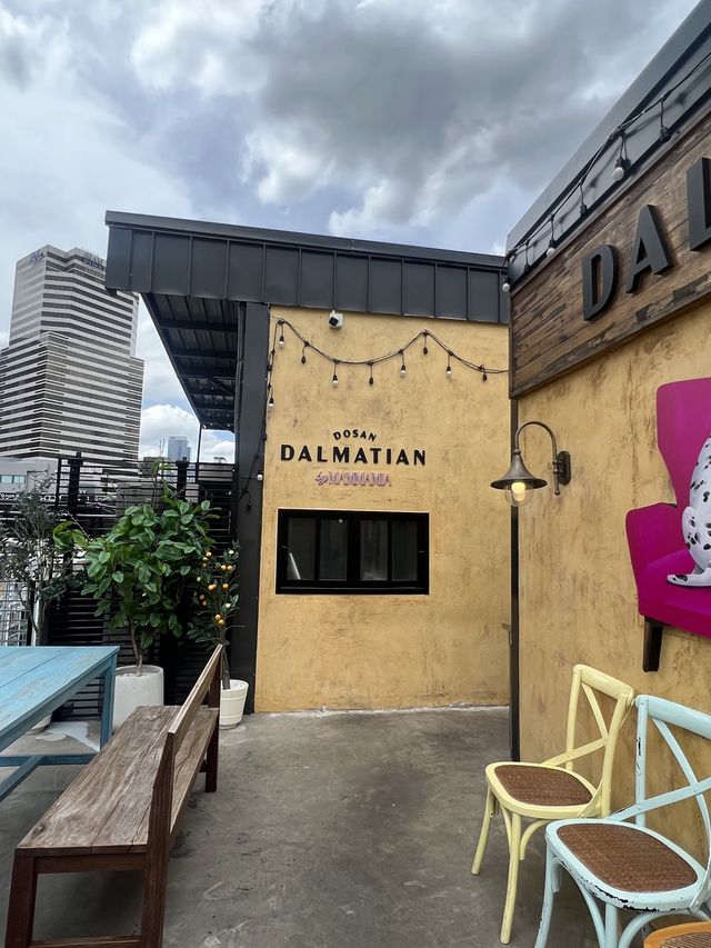 Dalmatian @siam square
