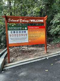 Tanjung Tuan Recreational Forest ✨