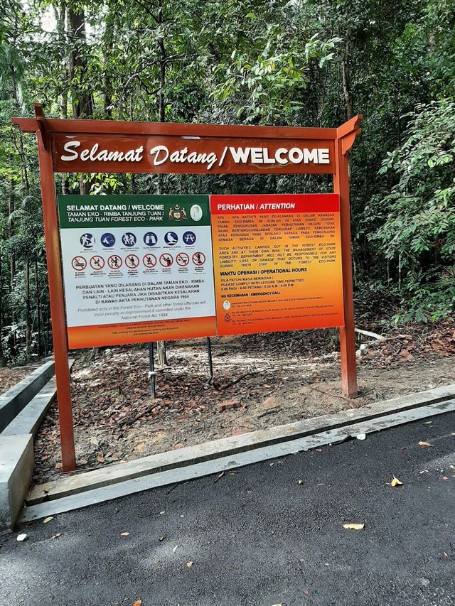 Tanjung Tuan Recreational Forest ✨