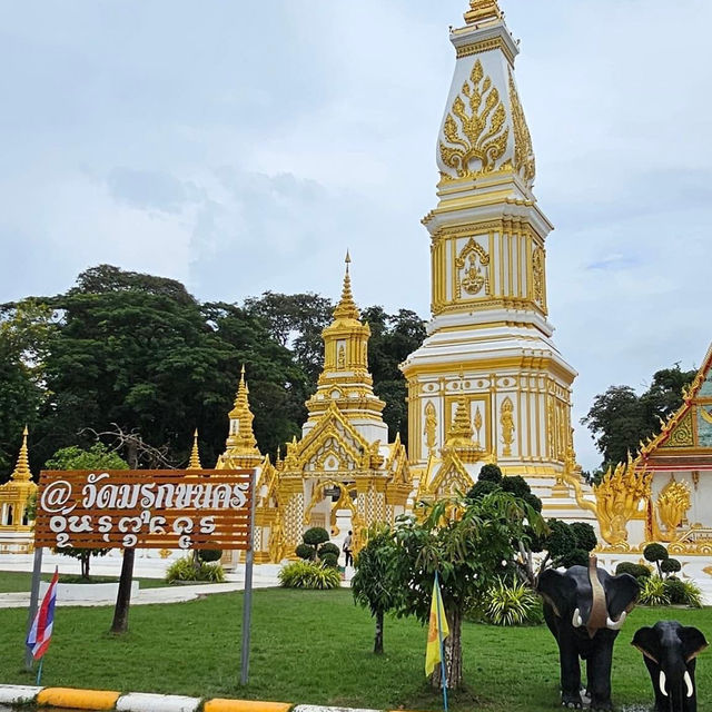 วัดมรุกขนคร