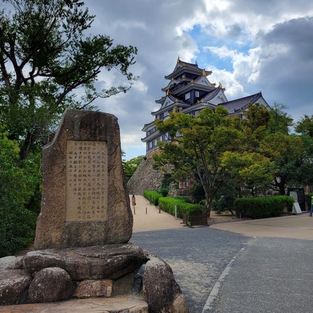 外牆為黑色岡山城🏯