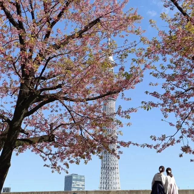 東京，親子友善旅遊