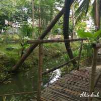 คาเฟ่บรรยากาศสวนมะพร้าว