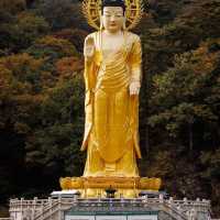 Beautiful Autumn View of Beopjusa Temple