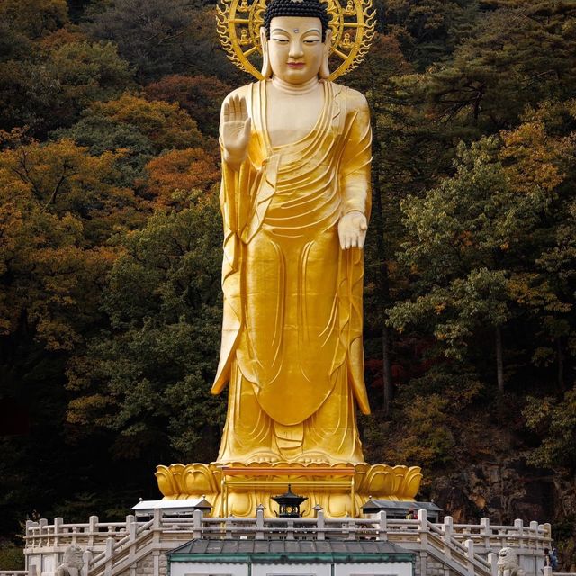 Beautiful Autumn View of Beopjusa Temple