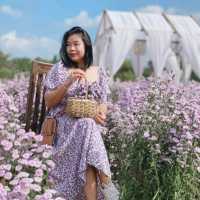 เจอ กู๊เนียร์ ฟอร์เร็ซท สวนดอกไม้ ที่ใหญ่ที่สุดในเชียงใหม่