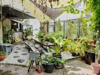 The Brownstone Hostel