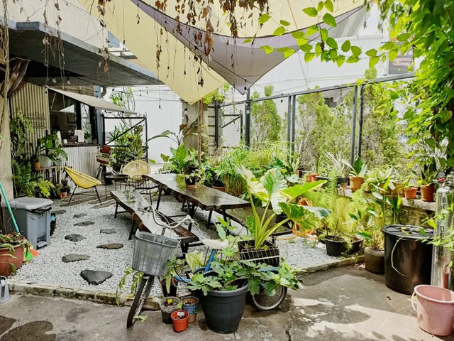 The Brownstone Hostel