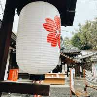【京都府】桜の名所　平野神社