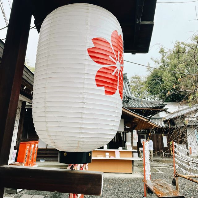【京都府】桜の名所　平野神社