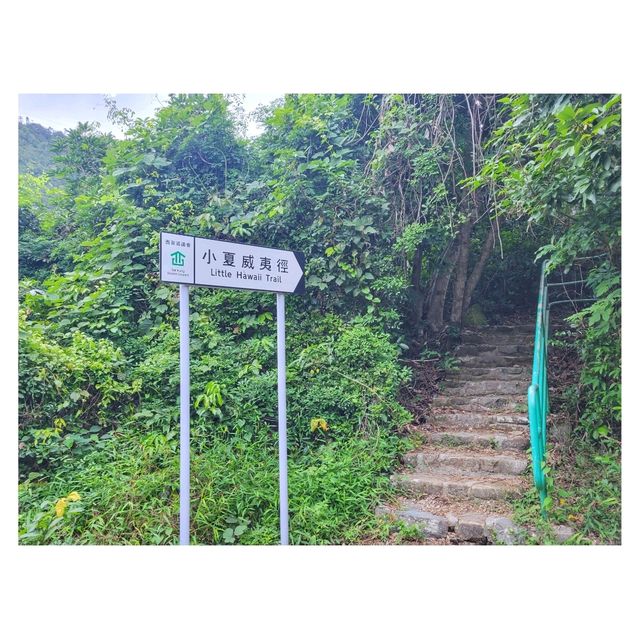 鬧市中嘅流水石澗。小夏威夷徑 