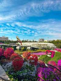 A Flowering Oasis in the Desert