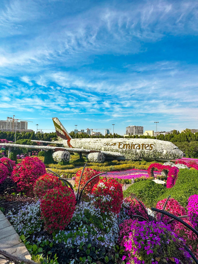 A Flowering Oasis in the Desert
