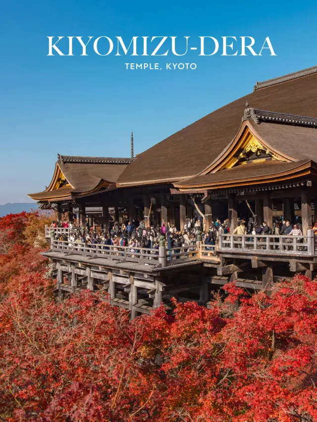 ใบไม้เปลี่ยนสีที่วัดน้ำใส Kiyomizu-Dera Temple 🍁