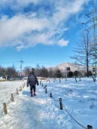 강원도 겨울여행은 여기! 정선 만항재❄️
