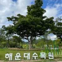 꽃들이 예쁜 해운대수목원