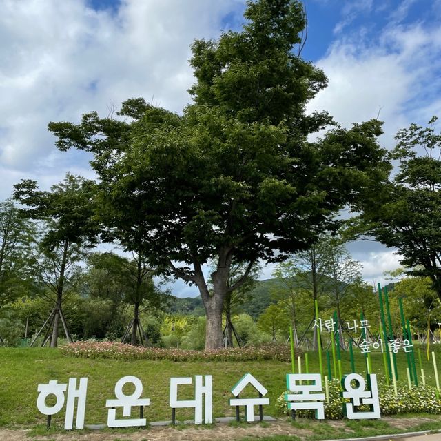 꽃들이 예쁜 해운대수목원