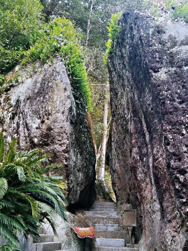 深山老林寺廟