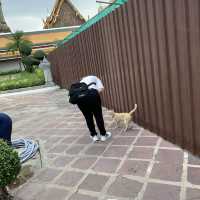 วัดโพธิ์