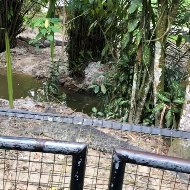 ZOO TAIPING 