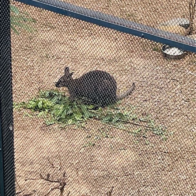 香港動植物園-給自己最美的大自然的饗宴