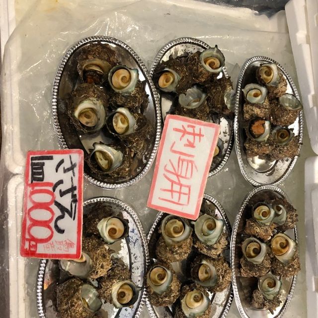 鳥取賀露市場一次滿足幾個願望