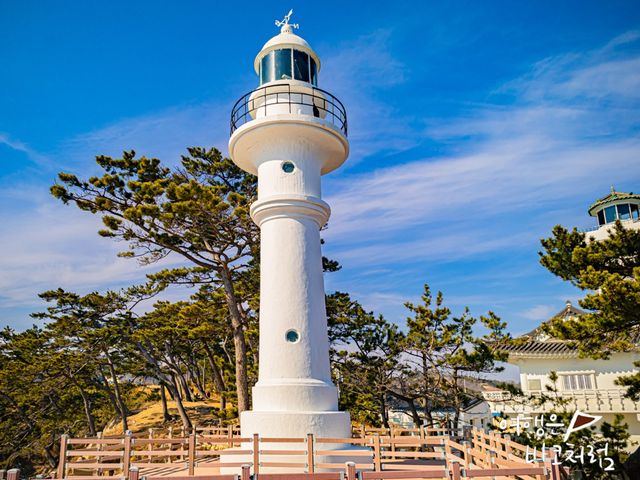 경주도 동해인걸 알고있나요!? 경주 감포 여행 경주도 동해인걸 알고있나요!? 경주 감포 여행