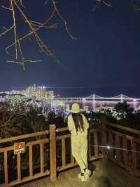 부산에서 야경 보기 좋은 곳🌃