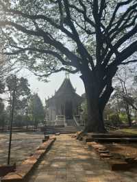 วัดเจ็ดยอด(วัดโพธารามมหาวิหาร) เชียงใหม่