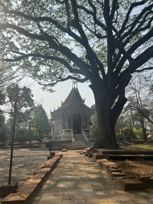 วัดเจ็ดยอด(วัดโพธารามมหาวิหาร) เชียงใหม่