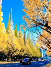 BEEN THERE, DONE THAT, AUTUMN IN JAPAN