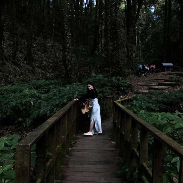 ดอยอินทนนท์⛰️🍃
